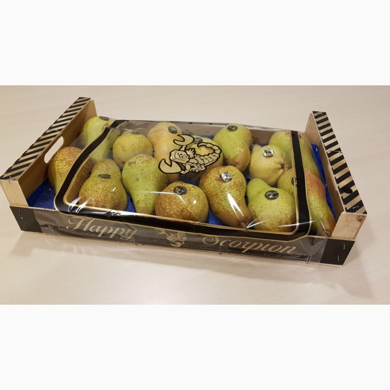 Фото 5. Продаем грушу из Испании