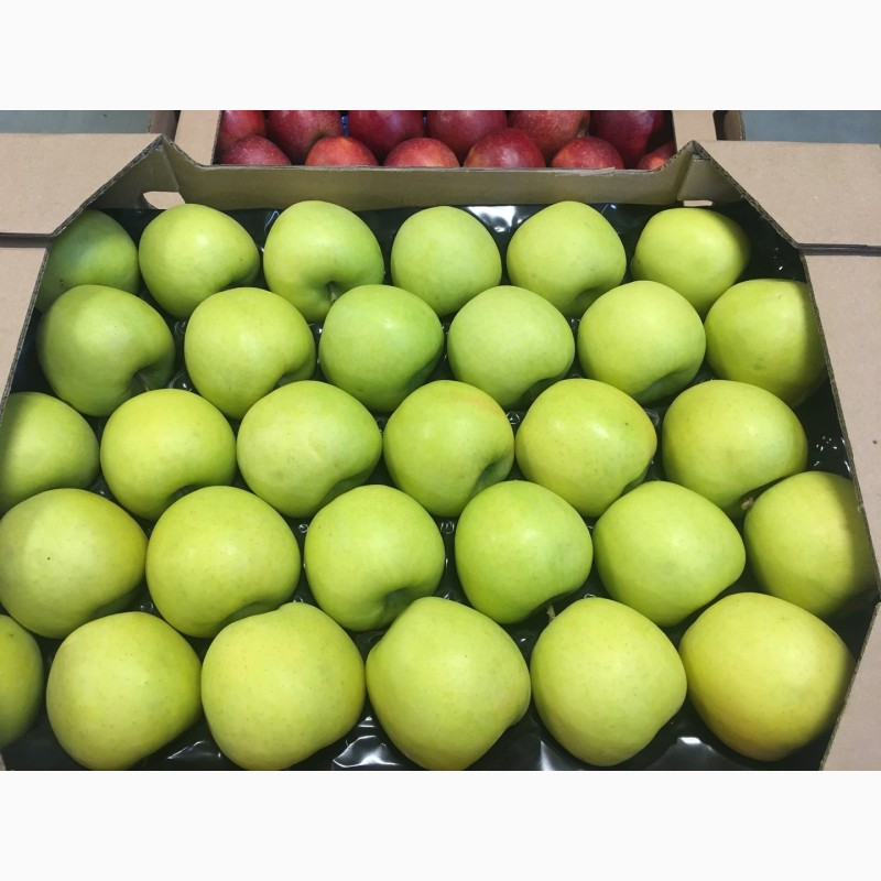 Фото 3. Продам яблука: Голден, Ред Чіф, Фуджі, Пінова