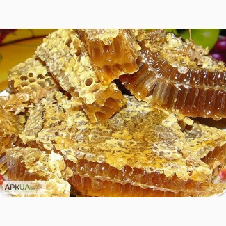 Продажа мёда в сотах, стоимость 150 грн. за 1 кг