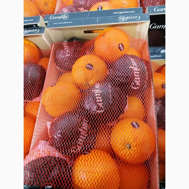 Фото 3. Апельсины из Испании