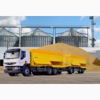 Услуги по перевозке зерновых, масличных культур и других грузов