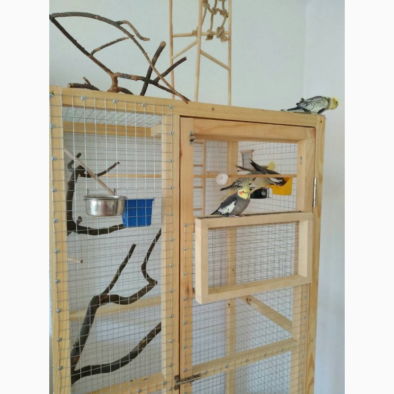 Фото 4. Изготовление клетки вольеры для декоративных птиц и др Ваших питомцев