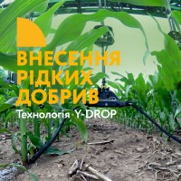 Прикореневе внесення рідких добрив на кукурудзу, технологія Y-DROP, Y-DROP