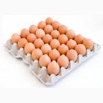 Яйца куриные столовые продам