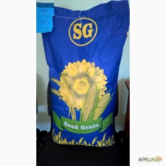 Семена подсолнечника Сивас Гранстар (Seed Grain) Канада