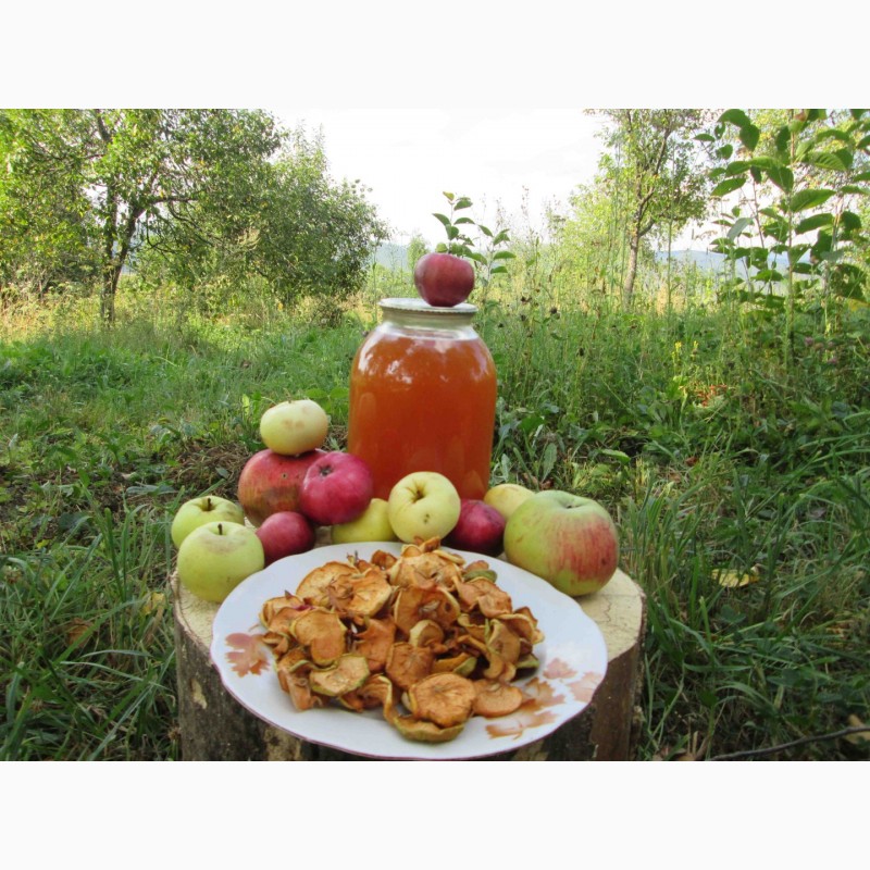 Фото 8. Сок яблочный домашний с горного сада Карпат