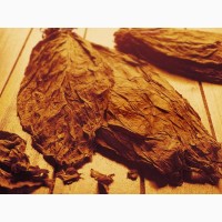 Тютюн сорт Берлі та сорт Вірджінія-естественной ферментации!низька цина