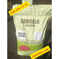 Семена подсолнечника САМУЕЛА от Производителя