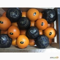 Продам Апельсин с Турции оптом