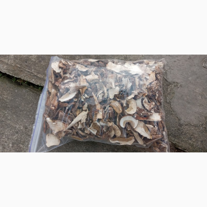 Фото 2. Продам сухі гриби ( сухой гриб)