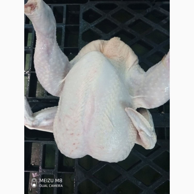 Фото 12. СРОЧНО продам курицу, маасло подсолнечное, муку и другую продукцию от фирмы экспортера