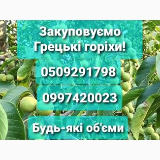 Сезон Грецького горіха розпочато!!! Закуповуємо грецькі горіхи урожаю 2021 року
