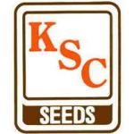 Семена Кукурузы амер. сел. KSC / насіння кукурузи