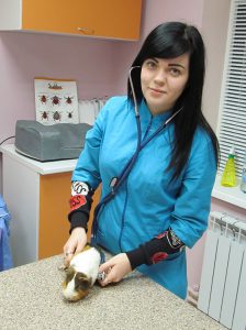 Фото 2. Ветеринарные услуги. Клиника ЗооДоктор, Харьков