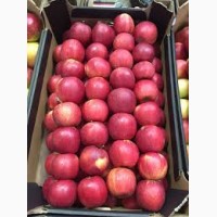 Продам яблоки со склада в наличии: голден делишес, айдаред, флорина, джонаголд