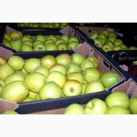 Продам яблоки со склада в наличии: голден делишес, айдаред, флорина, джонаголд