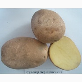 Розпродаж картоплі