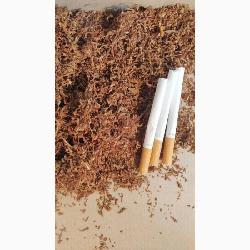Фото 4. Лапша з тютюну під трубки і гільзи