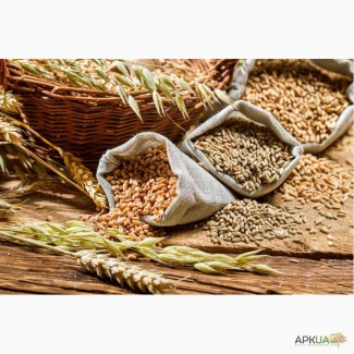 Закупка масличных и зерновых культур, Украина