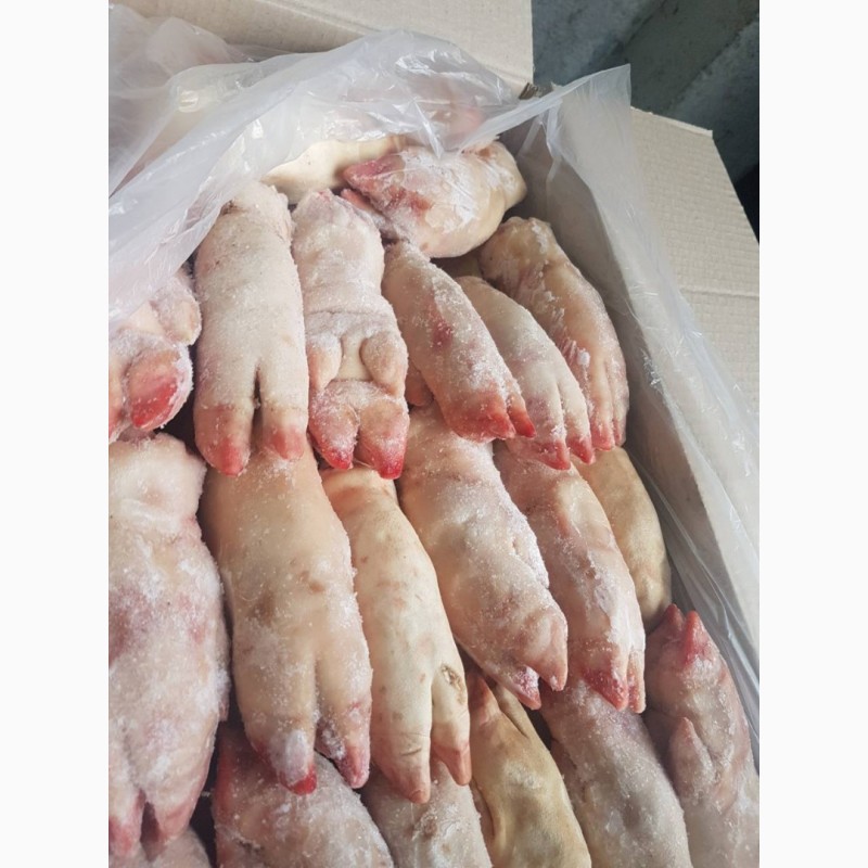 Фото 5. ООО «Амтек Трейд» предлагает замороженные свиные субпродукты