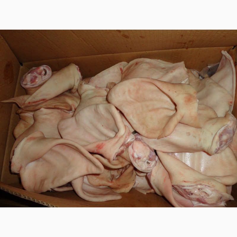 Фото 8. ООО «Амтек Трейд» предлагает замороженные свиные субпродукты