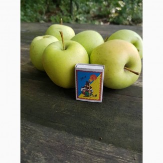 Продам качественные яблоки