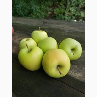 Продам качественные яблоки