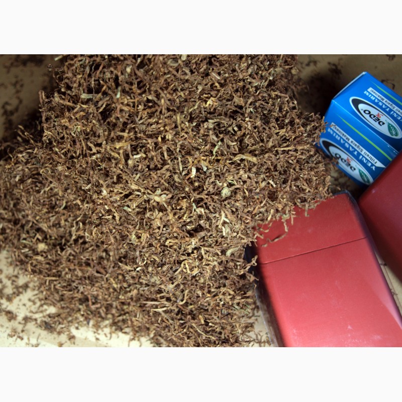 Фото 6. Ферментированный табак для сигаретных гильз, порезка лапша
