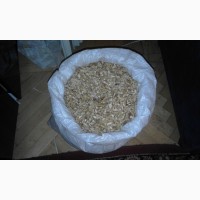 150 за кг грецкого ореха