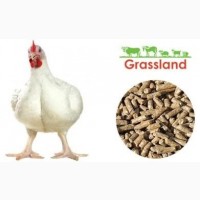 ПП НАСТКА УКРАЇНА реалізовує комбікорм для курчат бройлерів Фініш ТМ «Grassland»