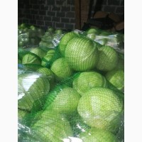 Продам капусту (Германия) со склада в Харькове