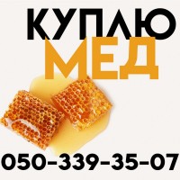 Куплю мед ОПТОМ у Запорізькій області
