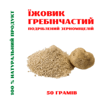 Їжовик гребінчастий (100% зерноміцелій) 50 грам