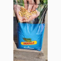 Продам насіння кукурудзи Хотин, Хортиця, Прайм, Фіеста, ДКС-5007 ( Монсанто)