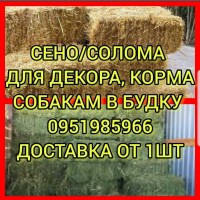 ЛЮЦЕРНА, луговое сено в тюках с доставкой по Украине. Объёмы. Качество