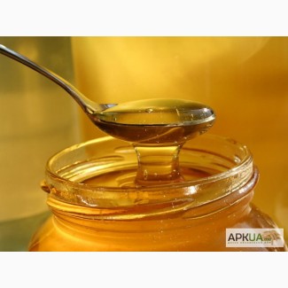 Продам качественный мед