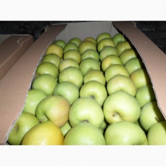 Яблоки от производителя по безналичному расчету с НДС, и на экспорт. Урожай 2018г