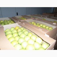 Яблоки от производителя по безналичному расчету с НДС, и на экспорт. Урожай 2018г