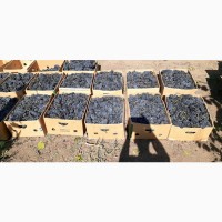 Уникальный сад грецкого ореха с питомником, виноградник, пахотная земля, площадью 205 га