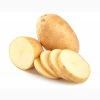 Куплю картофель в Киевской области от 10 тонн. Самовывоз. Обращайтесь