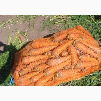 Продам морковь 2017. Отличное качество. От 3 тонн