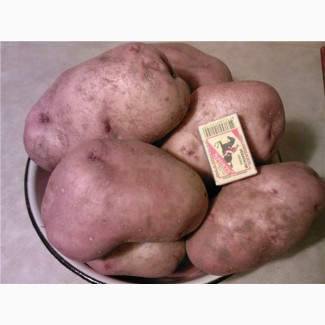 Продам картошку