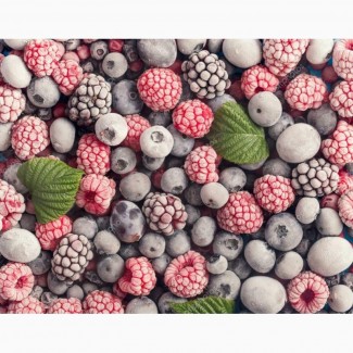 Закупка замороженных ягод оптом