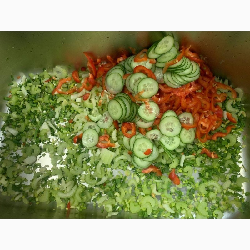 Фото 12. Машина для шаткування зелені та нарізки слайсом овочів та фруктів STvega Belt Cutter H150