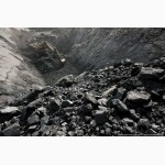 Уголь каменный, угольный топливный брикет оптом вагонными нормами