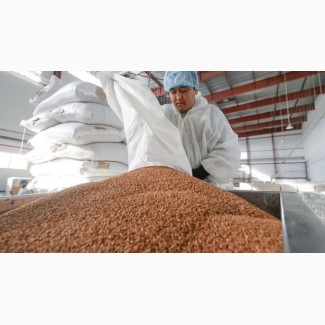 Завод по переработке зерновых культур проводит закупку Гречихи