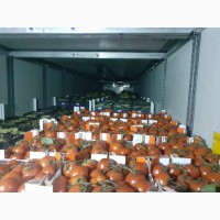 Продаем овощи + доставка от 20 тонн