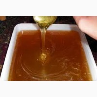 Завод покупает мед в Николаевской области