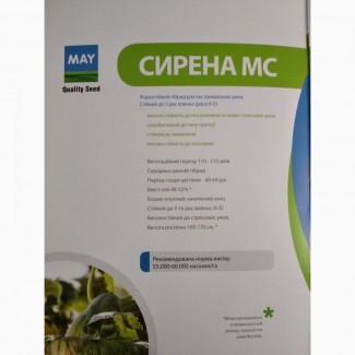 Насіння соняшнику MAY Seed Турція