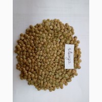 Семена чечевицы зеленой Линза 1 репродукции, Украина
